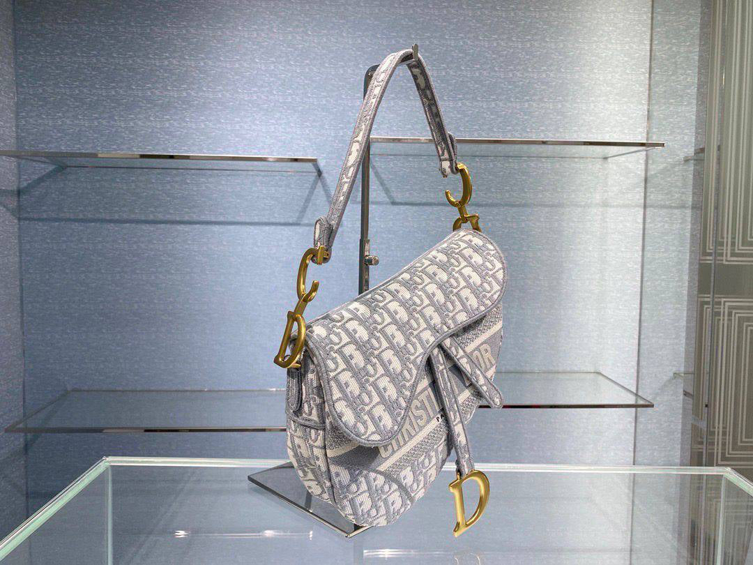 Dior Saddle Bag
