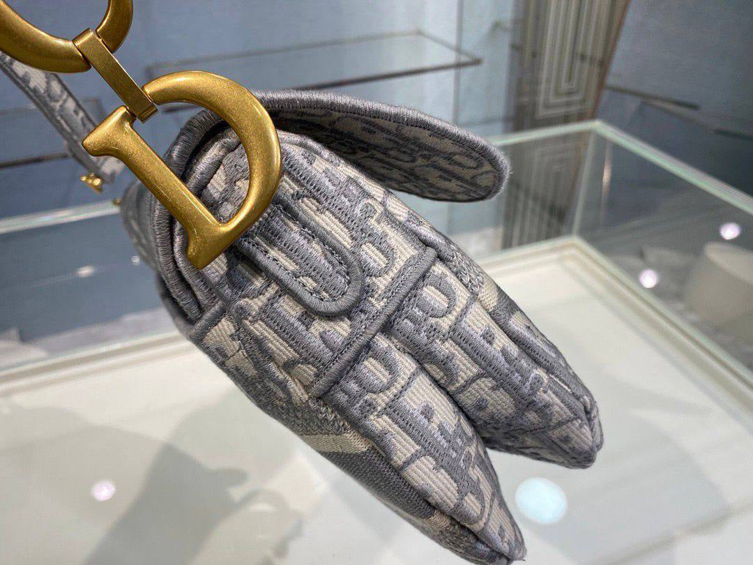 Dior Saddle Bag