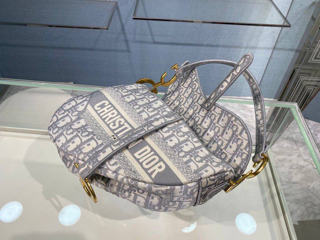 Dior Saddle Bag