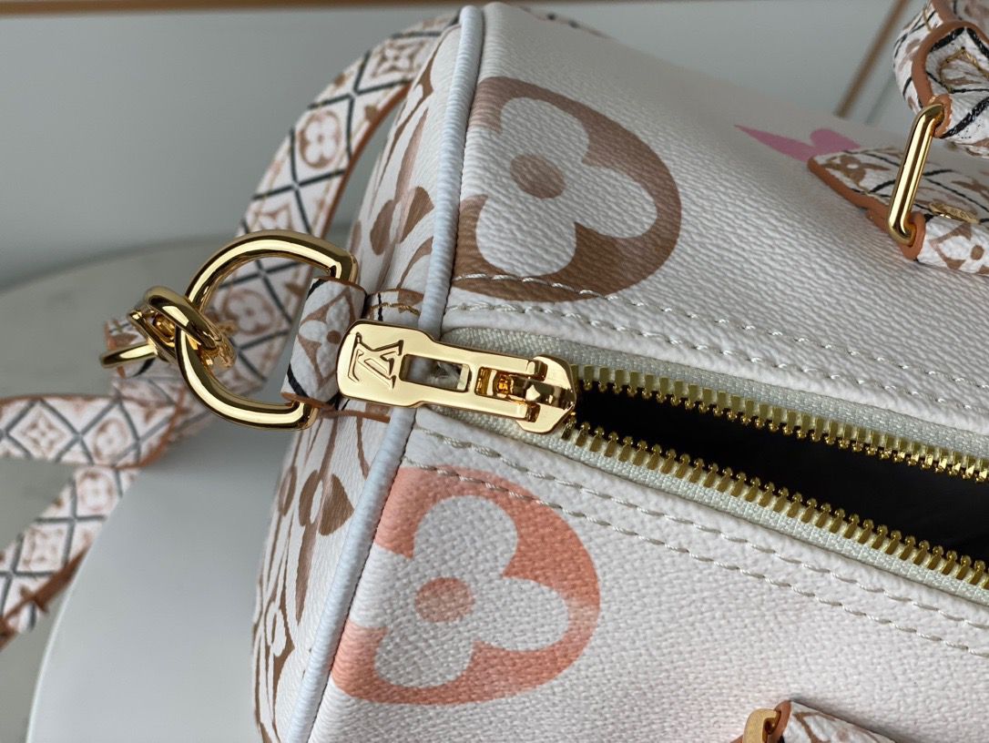 Louis Vuitton Speedy Bandoulière 25