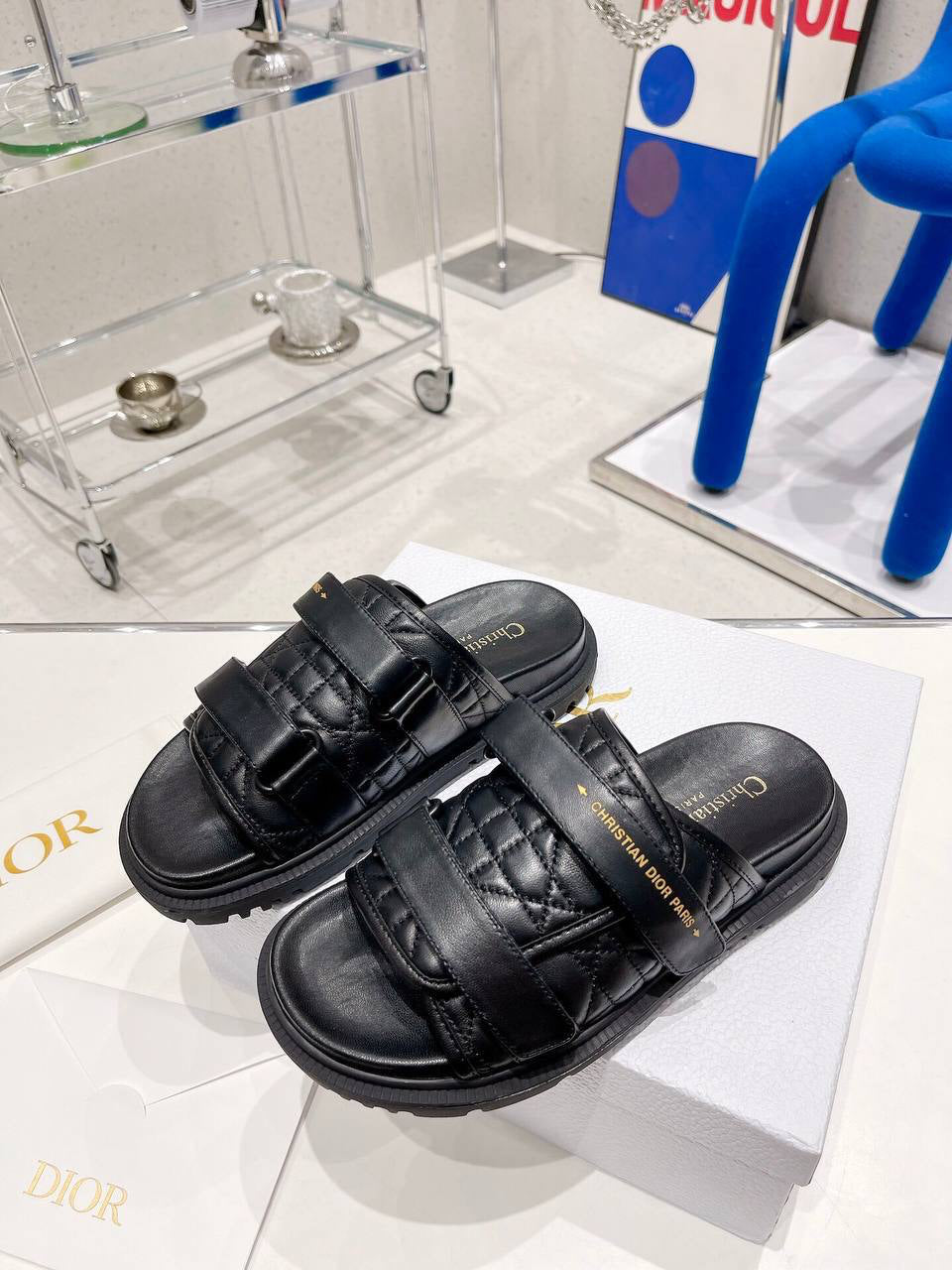 Dior Evolution Sandals